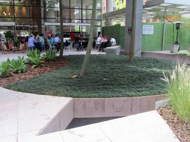 Manutenção de Jardins