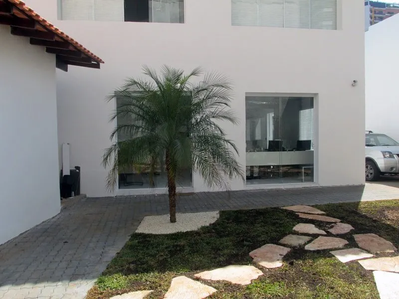 Manutenção de Jardins